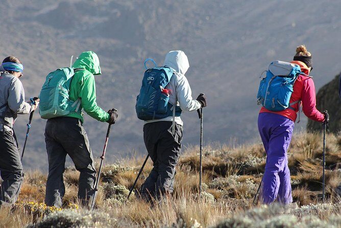 Day Trip Kilimanjaro Shira Plateau from Moshi - How Good Is the Value?