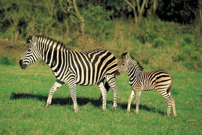 Day Trip - Lake Naivasha & Hell's Gate National Park From Nairobi - Lake Naivasha: Up Close with Nature