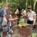 Day Trip Near Accra - Visit Aburi Gardens, Waterfall & Cocoa Farm - Why This Tour Stands Out
