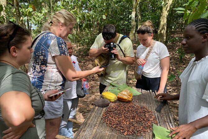Day Trip Near Accra - Visit Aburi Gardens, Waterfall & Cocoa Farm - Why This Tour Stands Out