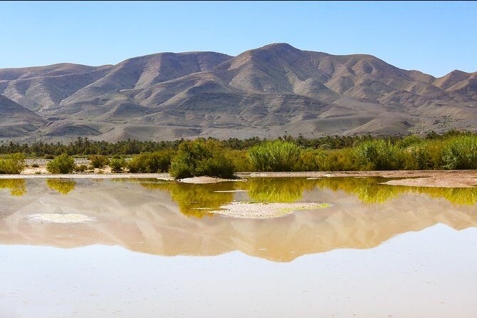 Day trip Ouarzazate Zagora - Authentic Encounters and Local Insights