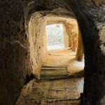Day Trip to Adadi Rock and Tiya Archeological Excursion - What’s Included and What’s Not