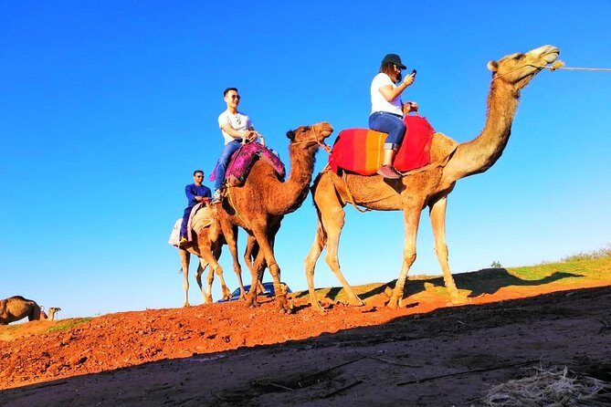 Day trip to Atlas Mountains and 4 Valley with Camel ride from Marrakech - Why This Tour Stands Out