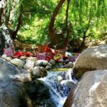 Day trip to Atlas Mountains ourika valley Berber villages - Why This Tour Works for Different Travelers