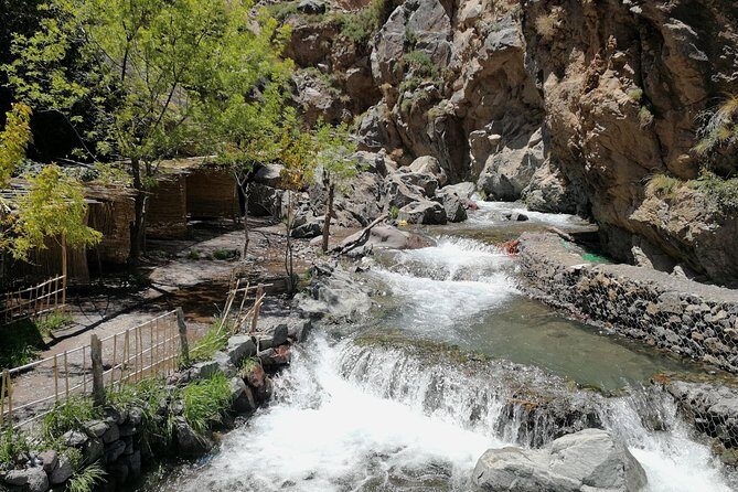 Day trip to Atlas mountains waterfall & Agafay camel Ride experience - Who Will Love This Tour?
