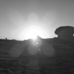 Day Trip To BaharIya Oasis Visit Black & White Desert From Cairo - What’s Included and What to Expect