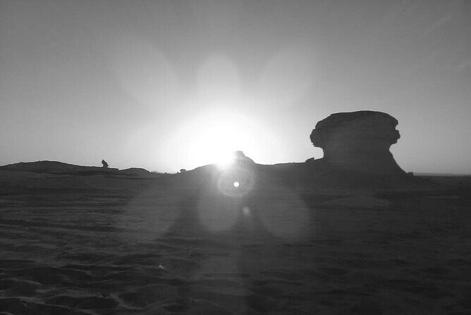 Day Trip To BaharIya Oasis Visit Black & White Desert From Cairo - What’s Included and What to Expect