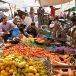 Day trip to Berber valley and Atlas mountains - What to Expect: Highlights and Practical Details