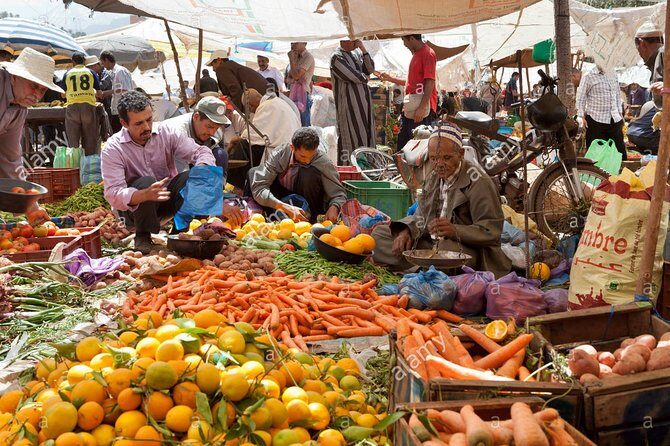 Day trip to Berber valley and Atlas mountains - What to Expect: Highlights and Practical Details