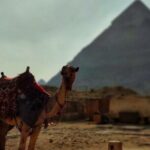 Day Trip to Cairo From Sharm El-Sheikh by Bus - FAQs