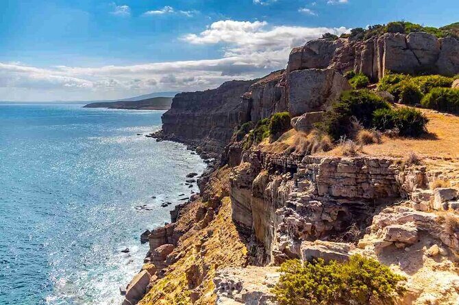 Day Trip to Cap Bon - Authentic Traveler Insights