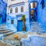 DAY TRIP to Chefchaouen From FEZ - Detailed Breakdown of the Itinerary