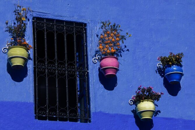 Day Trip to Chefchaouen From Fez with Local Expert - The Value and Practicalities