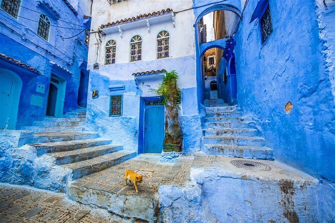 DAY TRIP to Chefchaouen From FEZ - Detailed Breakdown of the Itinerary