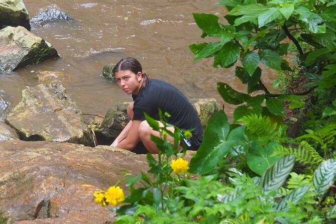 Day trip to Choma waterfalls - An In-Depth Look at the Choma Waterfalls Day Trip