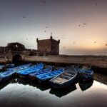 Day Trip to Essaouira from Marrakech - Real Traveler Insights