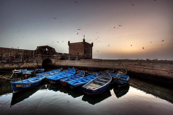 Day Trip to Essaouira from Marrakech - Real Traveler Insights