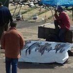 Day Trip to Essaouira From Marrakech - Free Time and Departure