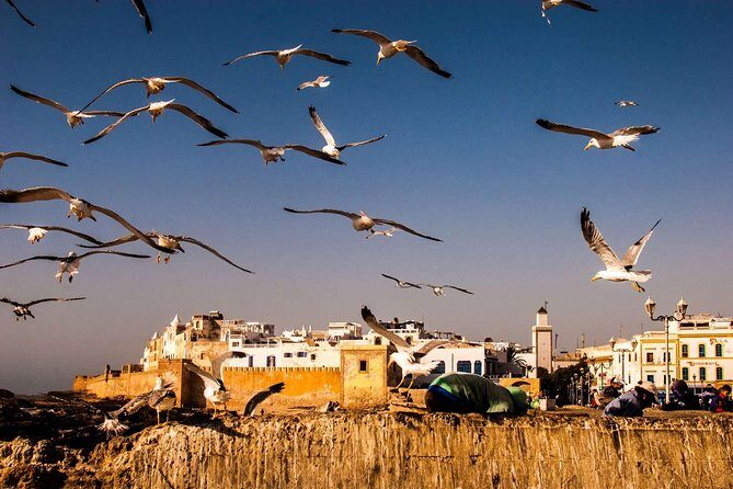 day trip to Essaouira from Marrakech - The Itinerary in Detail