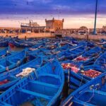 Day Trip To Essaouira MoGador and Argan Tress forests - Exploring Essaouira: The Coastal Charm