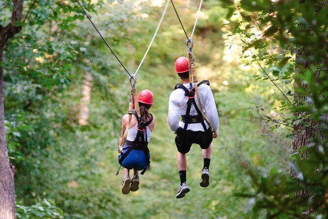 Day Trip to Kereita Forest and Ziplining - Who Should Consider This Tour?