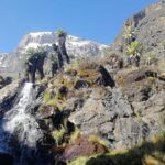 Day Trip to Kilimanjaro National Park - What Sets This Tour Apart?