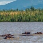 Day Trip To Lake Ziway - Practical Considerations and Comfort