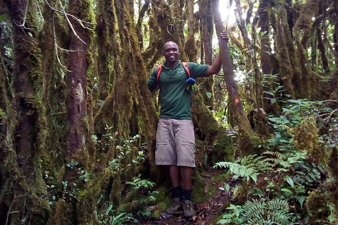 Day Trip To Lupanga Peak - FAQs