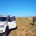 Day Trip to Mini Sahara - Experience Quality and Practicalities