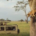 Day Trip to Ngorongoro Crater - Why This Tour Offers Great Value