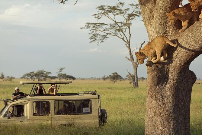 Day Trip to Ngorongoro Crater - Why This Tour Offers Great Value