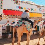 Day Trip to Nubian Village with Camel Tour from Aswan - Authentic Perspectives from Travelers