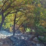 Day Trip to Ourika Valley and Atlas Mountains - Value and Pricing