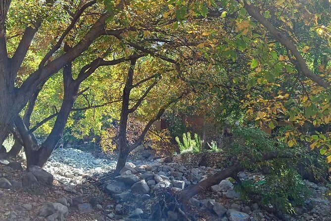 Day Trip to Ourika Valley and Atlas Mountains - Value and Pricing