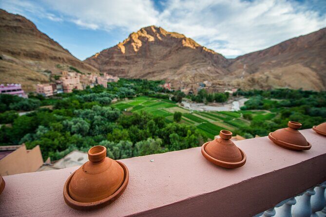 Day Trip To Ourika Valley from Marrakech - Authentic Experiences and Traveler Insights