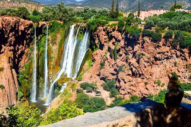 Day Trip To Ouzoud Waterfalls From Marrakech - Why This Tour Offers Great Value