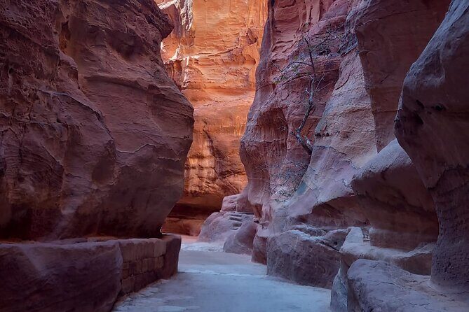 Day trip to Petra by ferry from Sharm el Sheikh - Transportation & Logistics: Making the Long Day Manageable