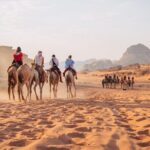 Day Trip to Petra, Wadi Rum, and Shobak Castle - The Detailed Itinerary Breakdown