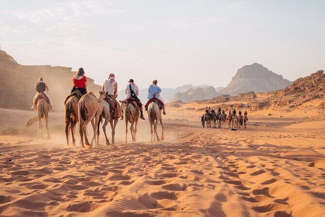Day Trip to Petra, Wadi Rum, and Shobak Castle - The Detailed Itinerary Breakdown