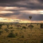 Day Trip To Tarangire National Park - Exploring the Tour: A Detailed Breakdown