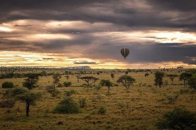 Day Trip To Tarangire National Park - Exploring the Tour: A Detailed Breakdown