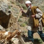 Day Trip to the Atlas Mountains with Locals - The Practical Details That Matter