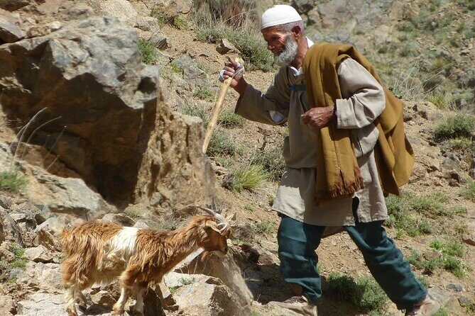 Day Trip to the Atlas Mountains with Locals - The Practical Details That Matter