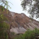 Day Trip to the Dead Sea Valley with GaryTheGuide - The Logistics and Pricing