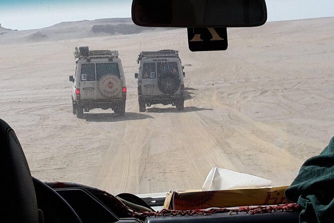 Day Trip to Valley of Whales from Cairo - Wadi El Hitan - Transportation and Logistics