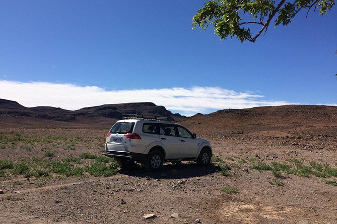 Day trip to visit Ouarzazate - Who Is This Tour Best Suited For?