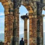 Day Trip To : Volubilis / Moulay Idriss / Mekness - An In-Depth Look at the Itinerary