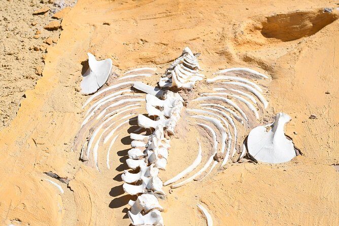 Day Trip to Wadi El-Hitan, Wadi El-Rayyan & Al Fayyom Oasis - Wadi El-Rayan: Waterfalls and Lakes in the Desert
