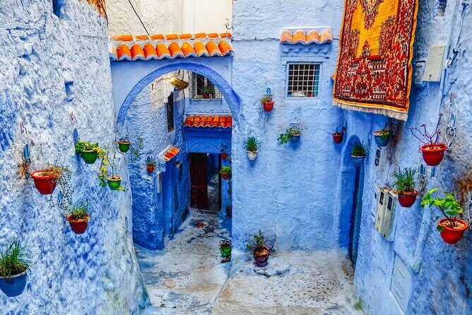 Day Trip Transport from Fes to Chefchaouen (The Blue City) - What to Expect on the Day
