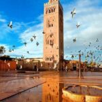 Day Trips from Agadir to Marrakech with Amazing guide - Diving into Marrakech’s Highlights